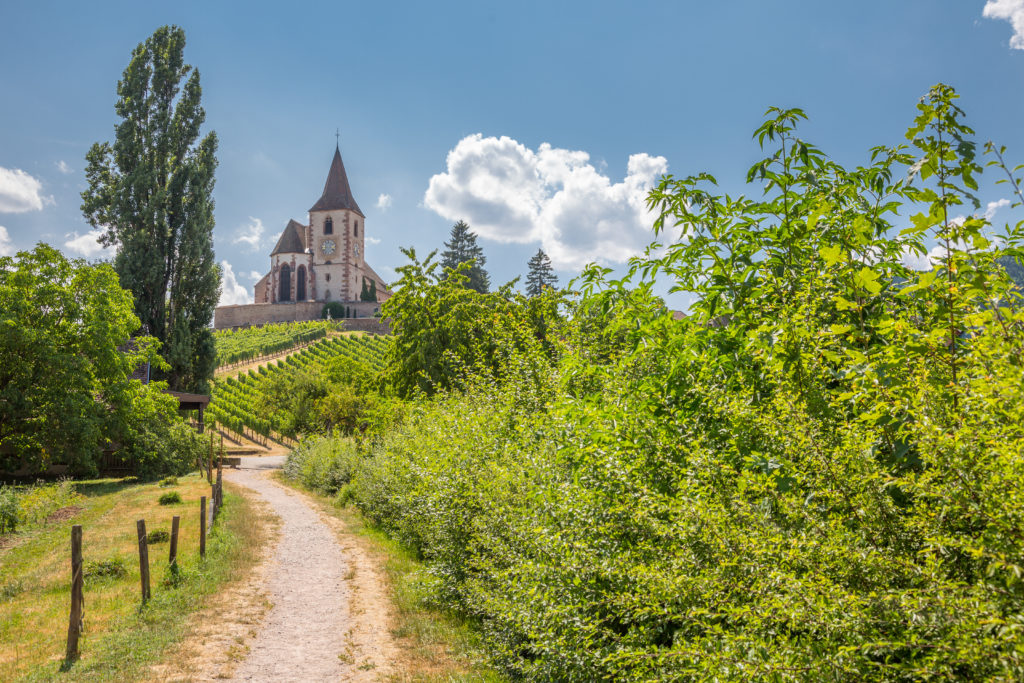 Randonnées en Alsace à proximité d'Hunawihr - le Clos des Vignes